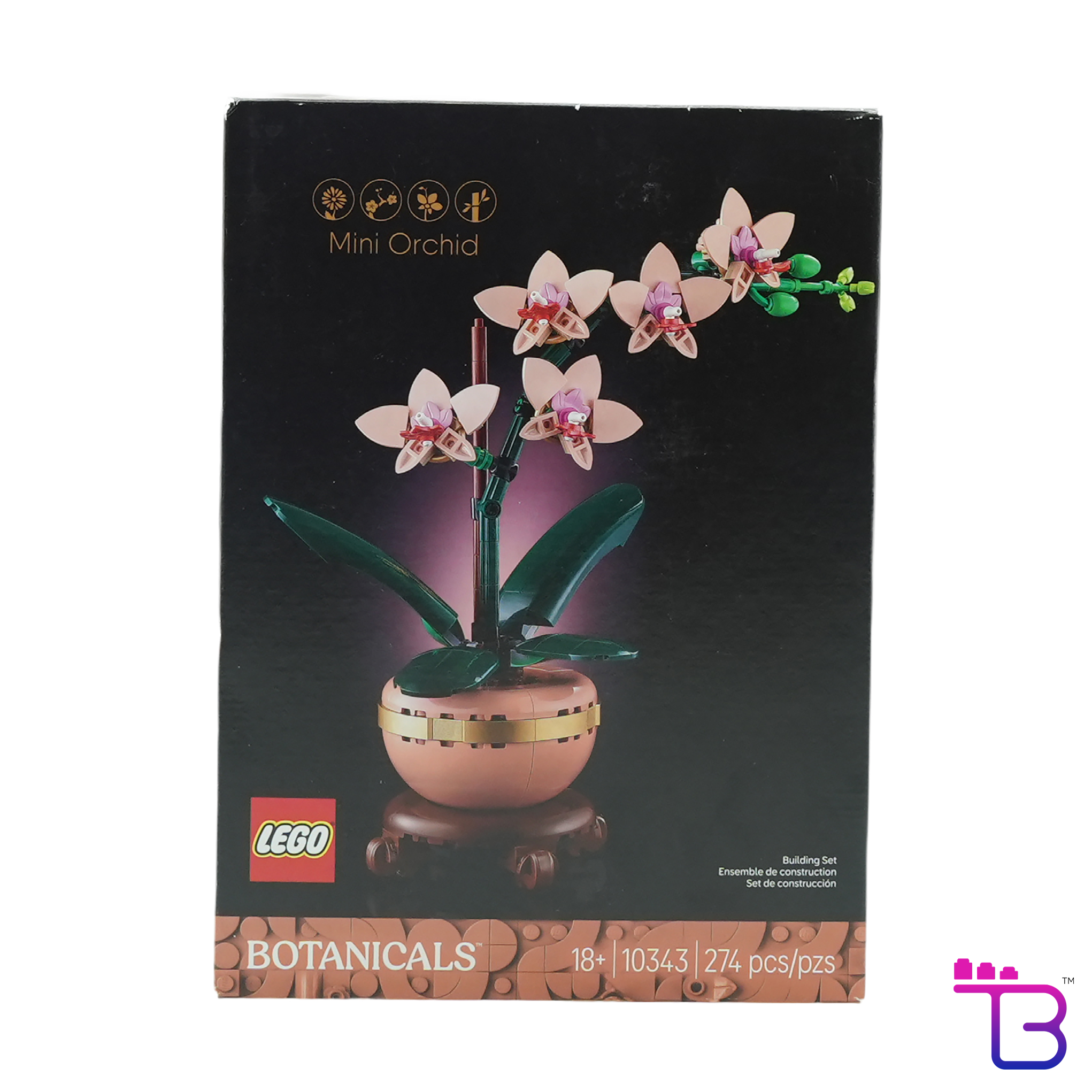 Mini Orchid #10343