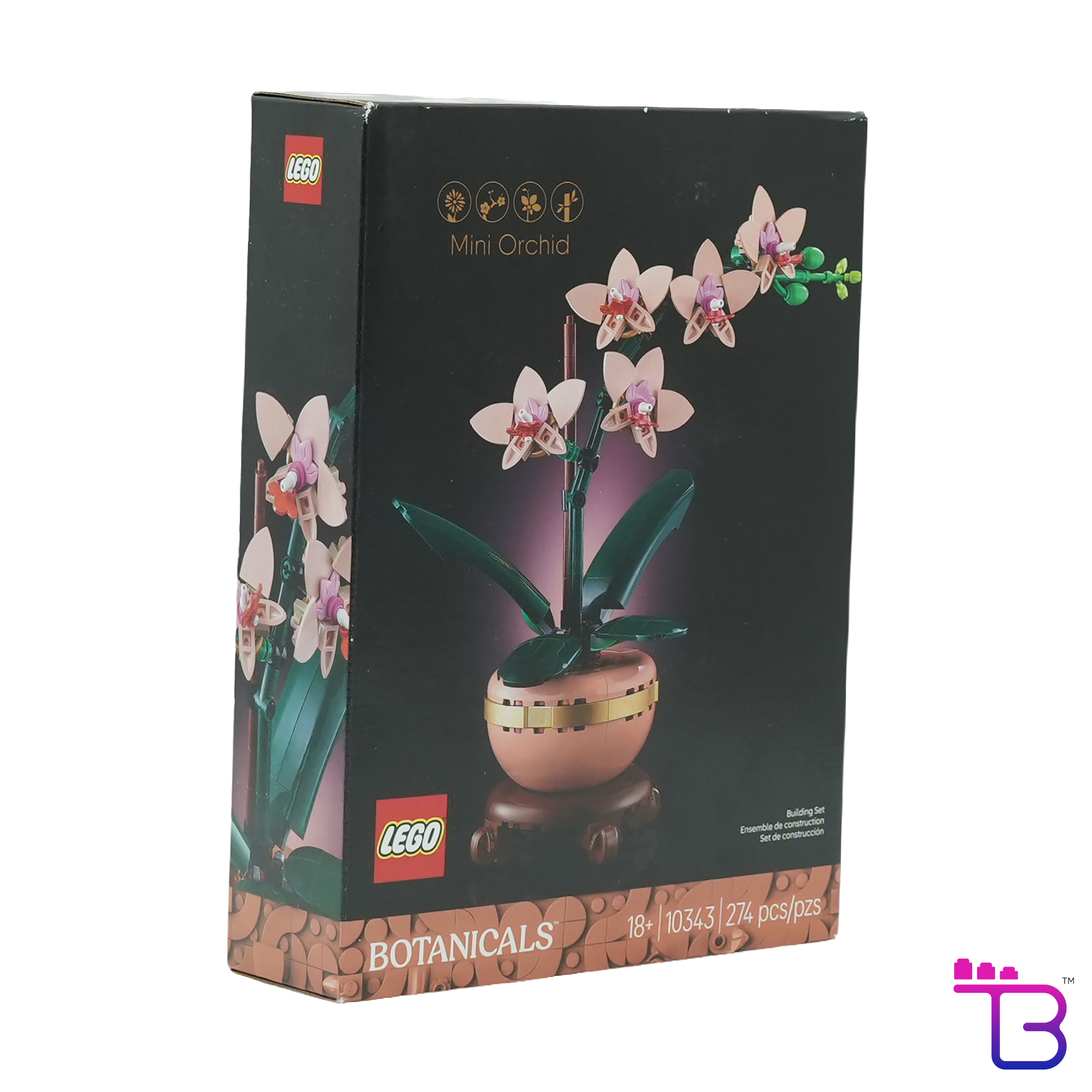 Mini Orchid #10343