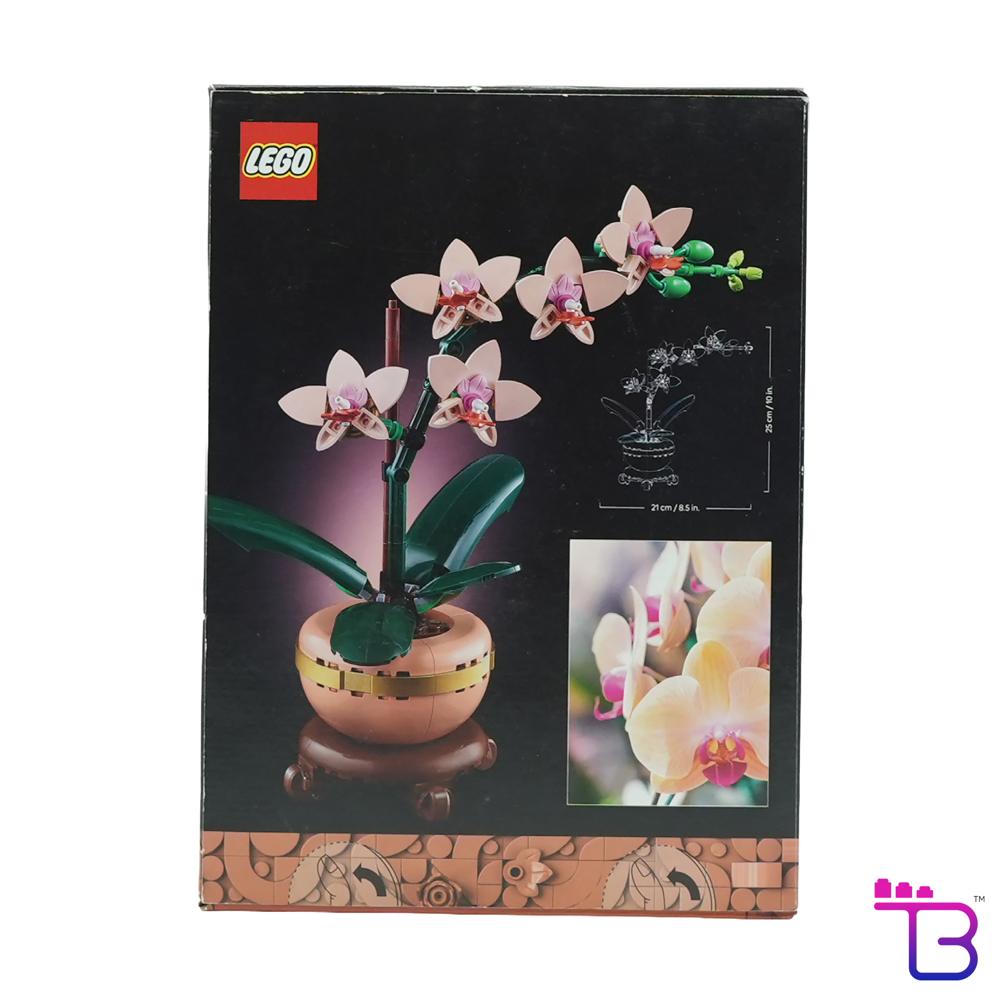 Mini Orchid #10343