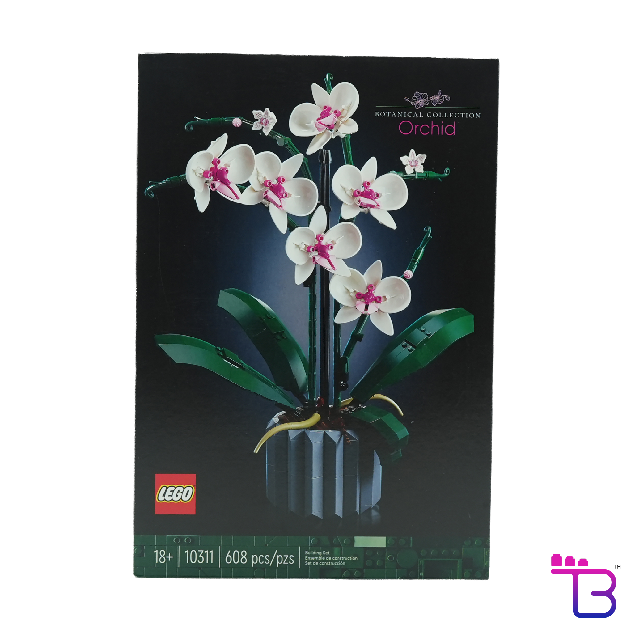Orchid #10311