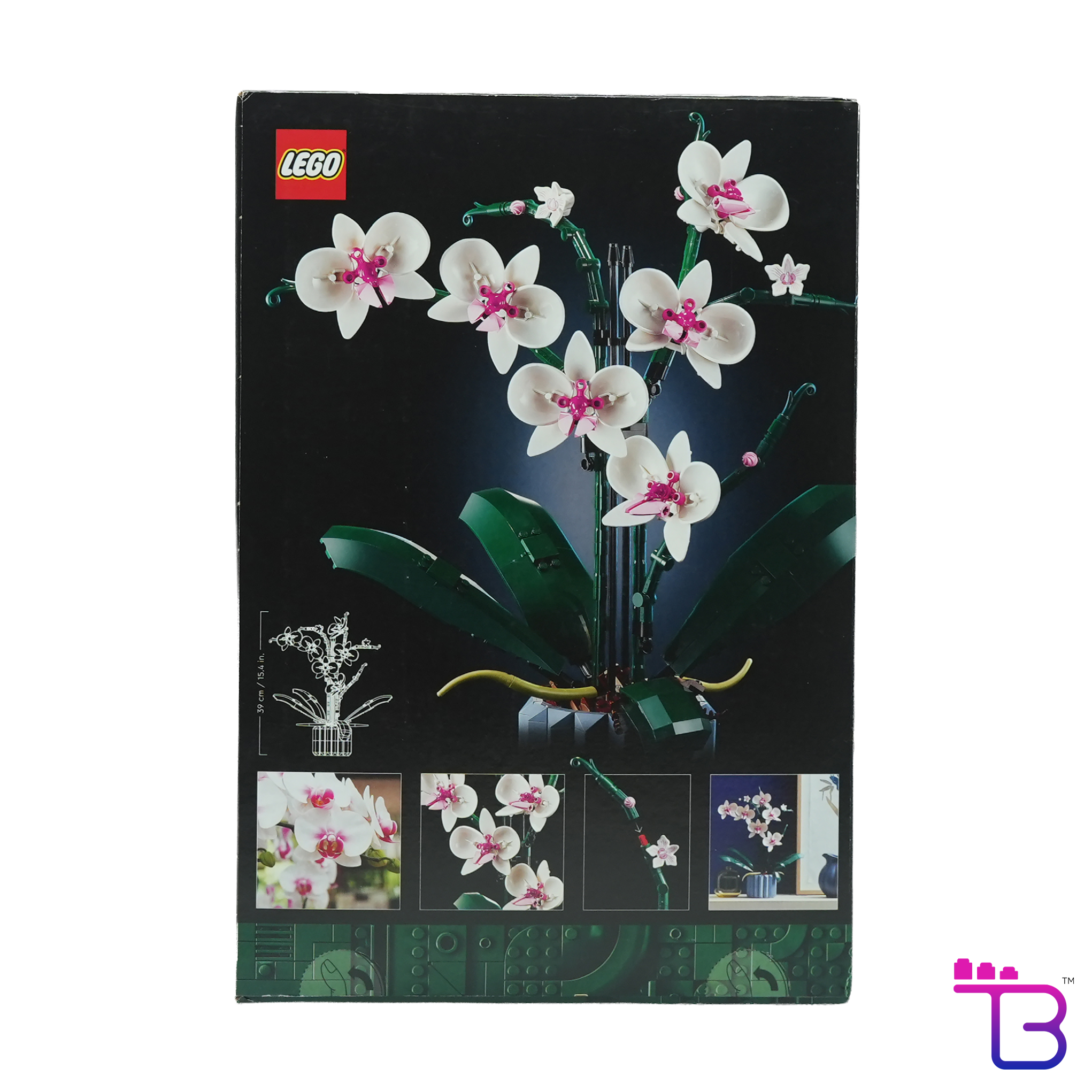 Orchid #10311