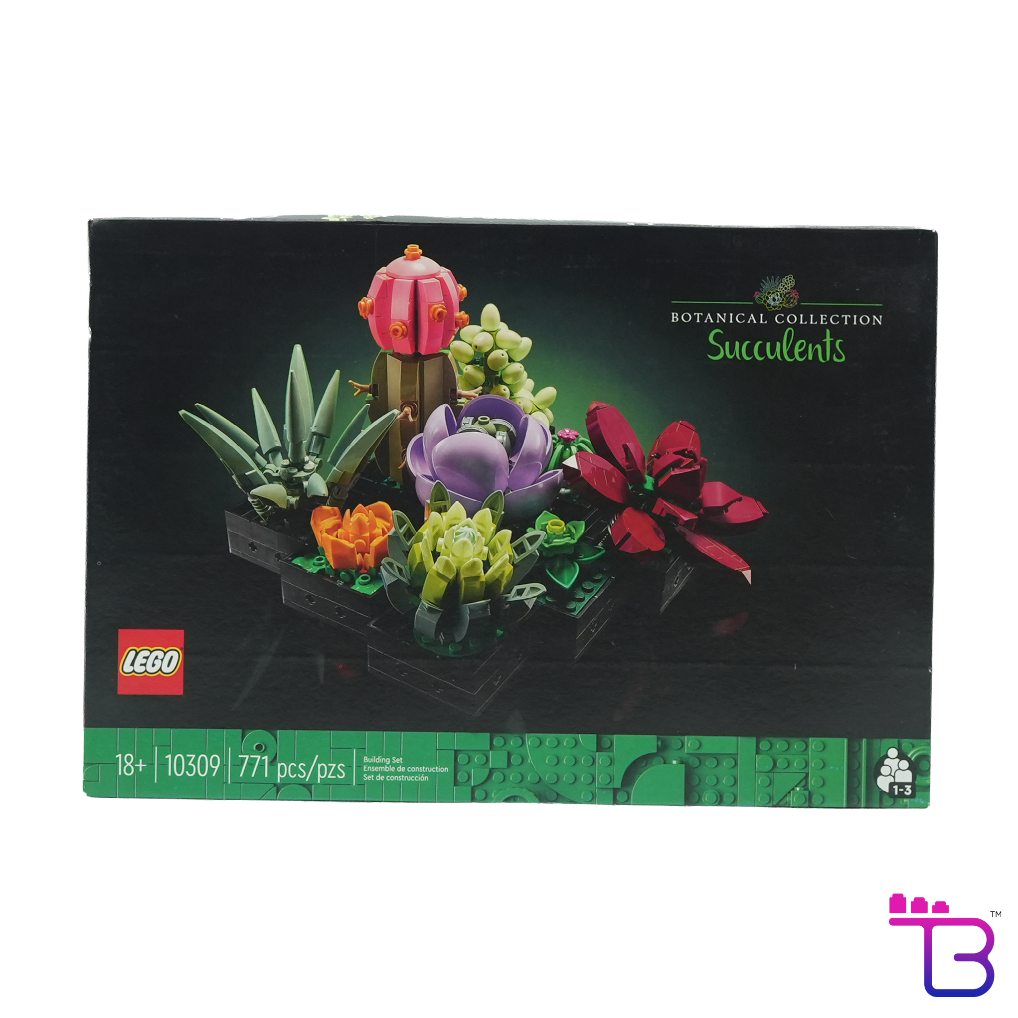 Succulents #10309