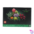 Succulents #10309
