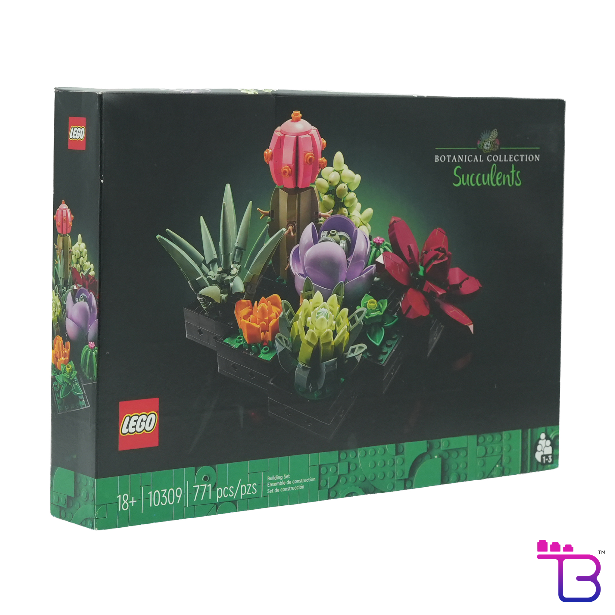 Succulents #10309