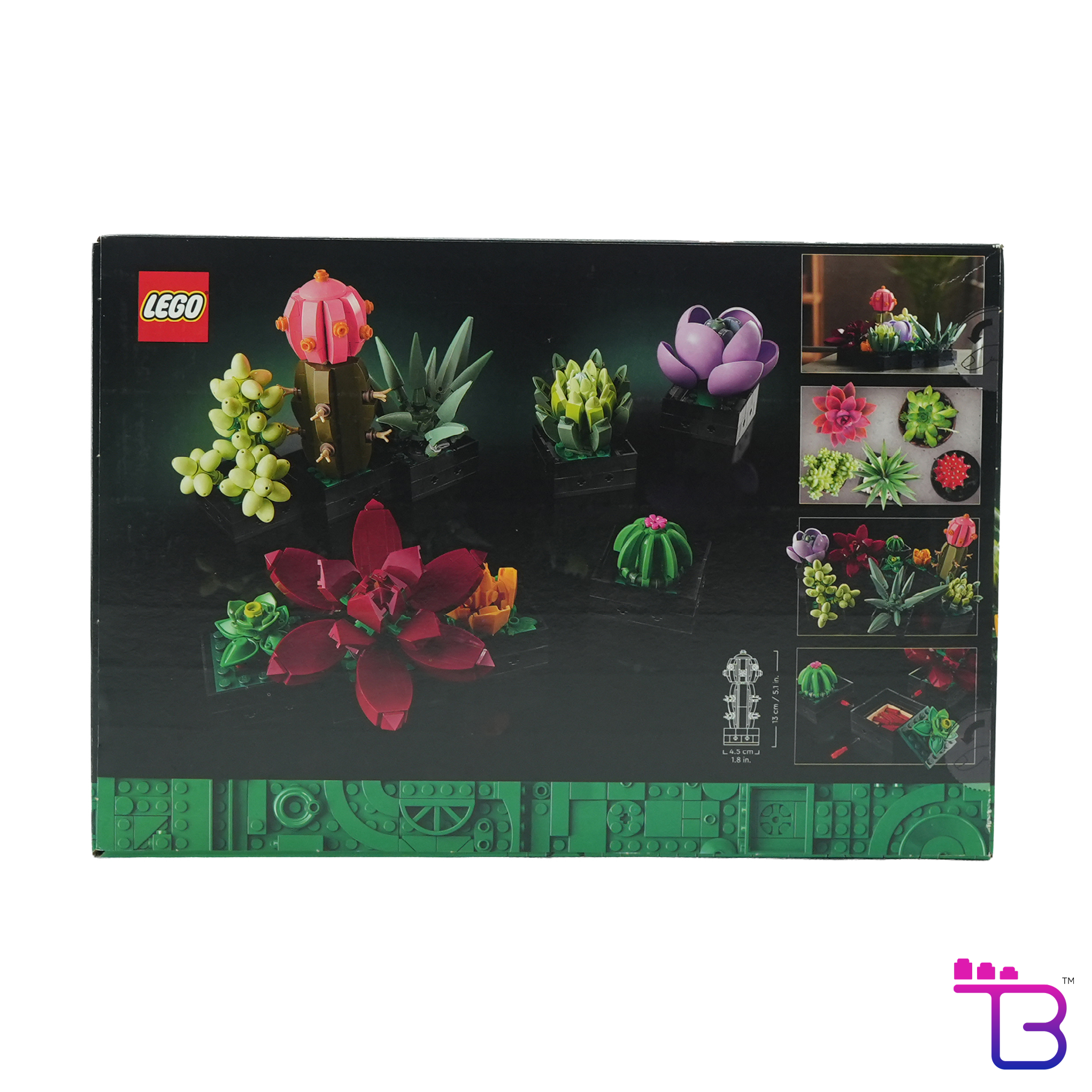 Succulents #10309