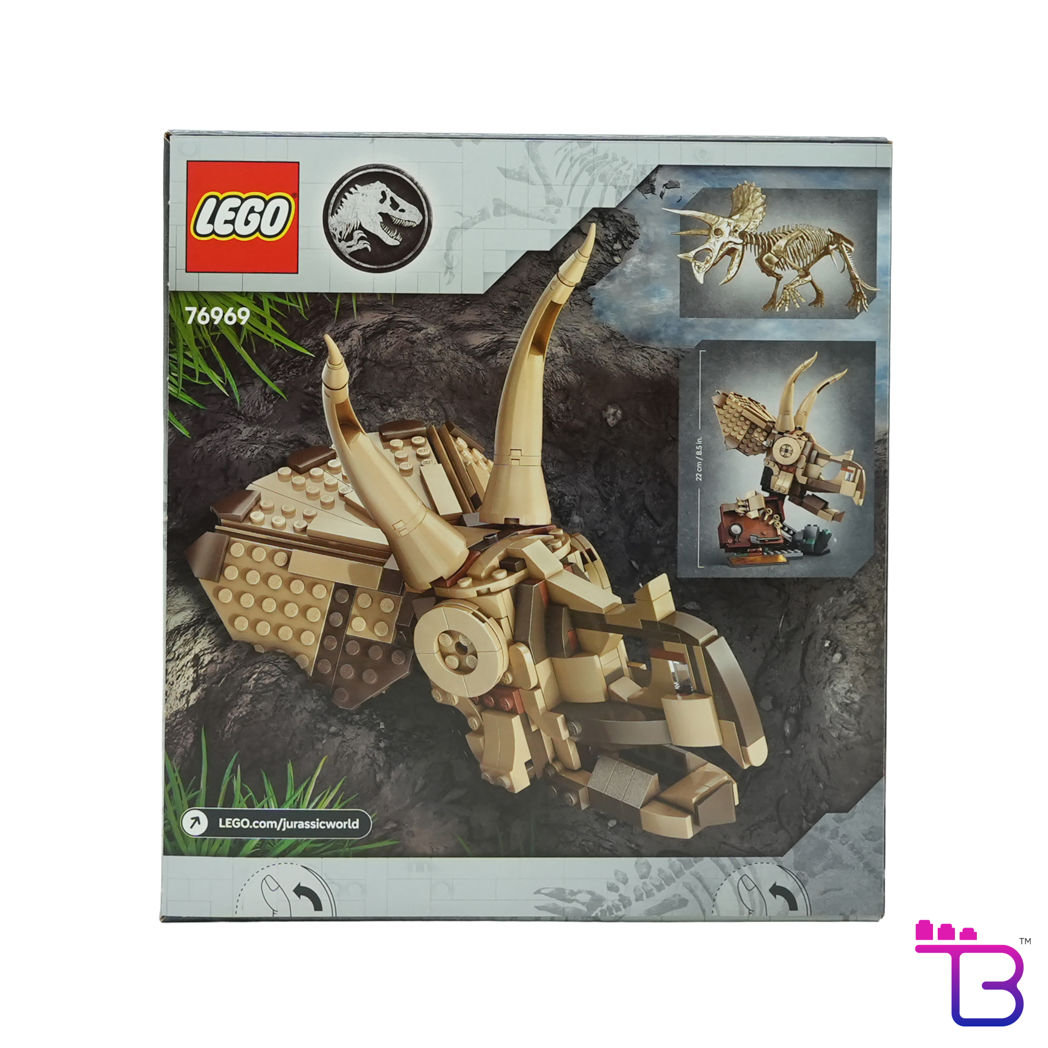 Dinosaur Fossils: Triceratops Skull #76969