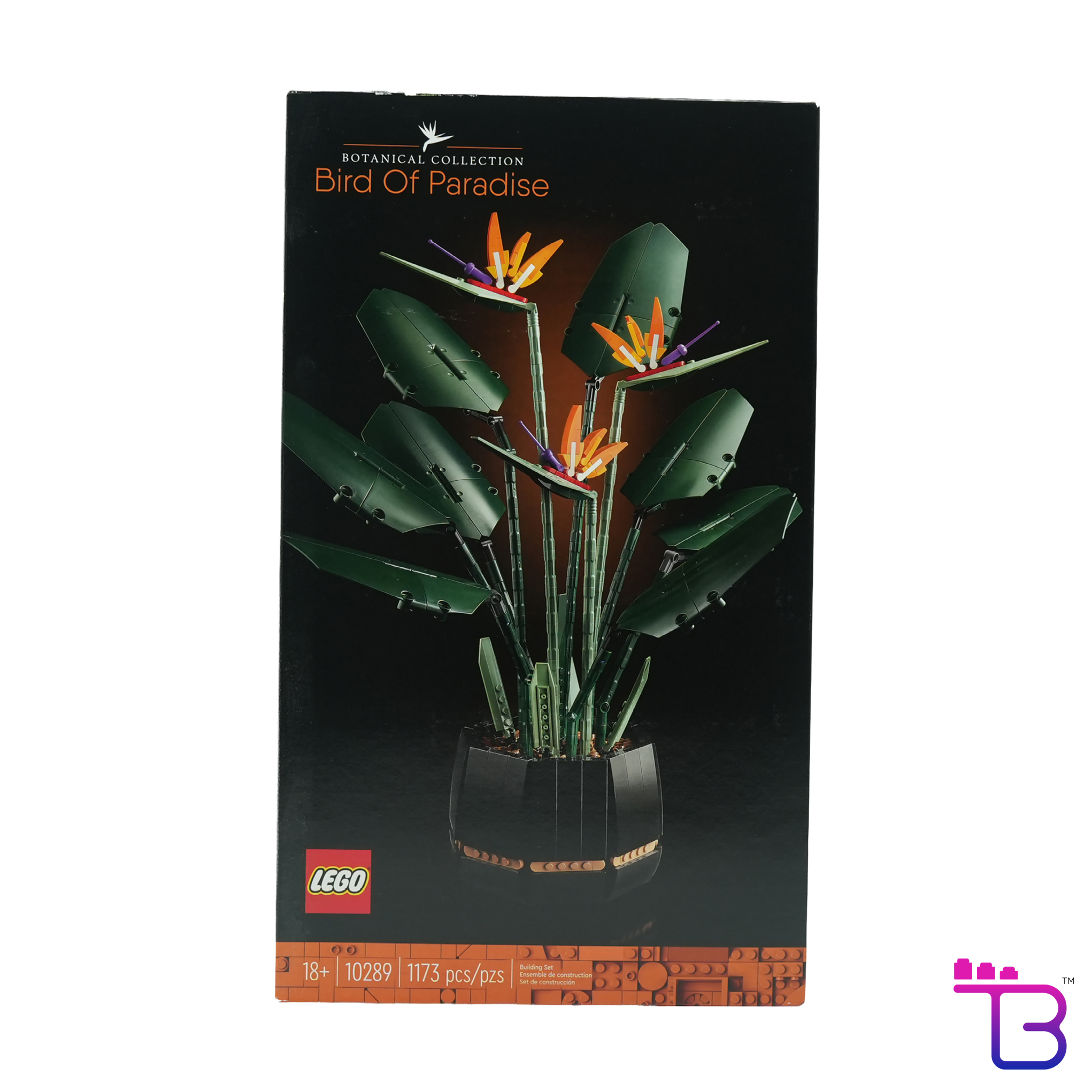 Bird of Paradise #10289