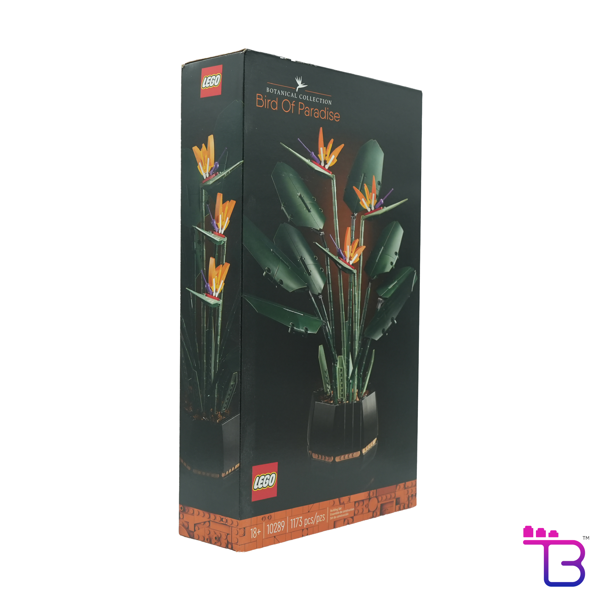 Bird of Paradise #10289