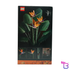 Bird of Paradise #10289