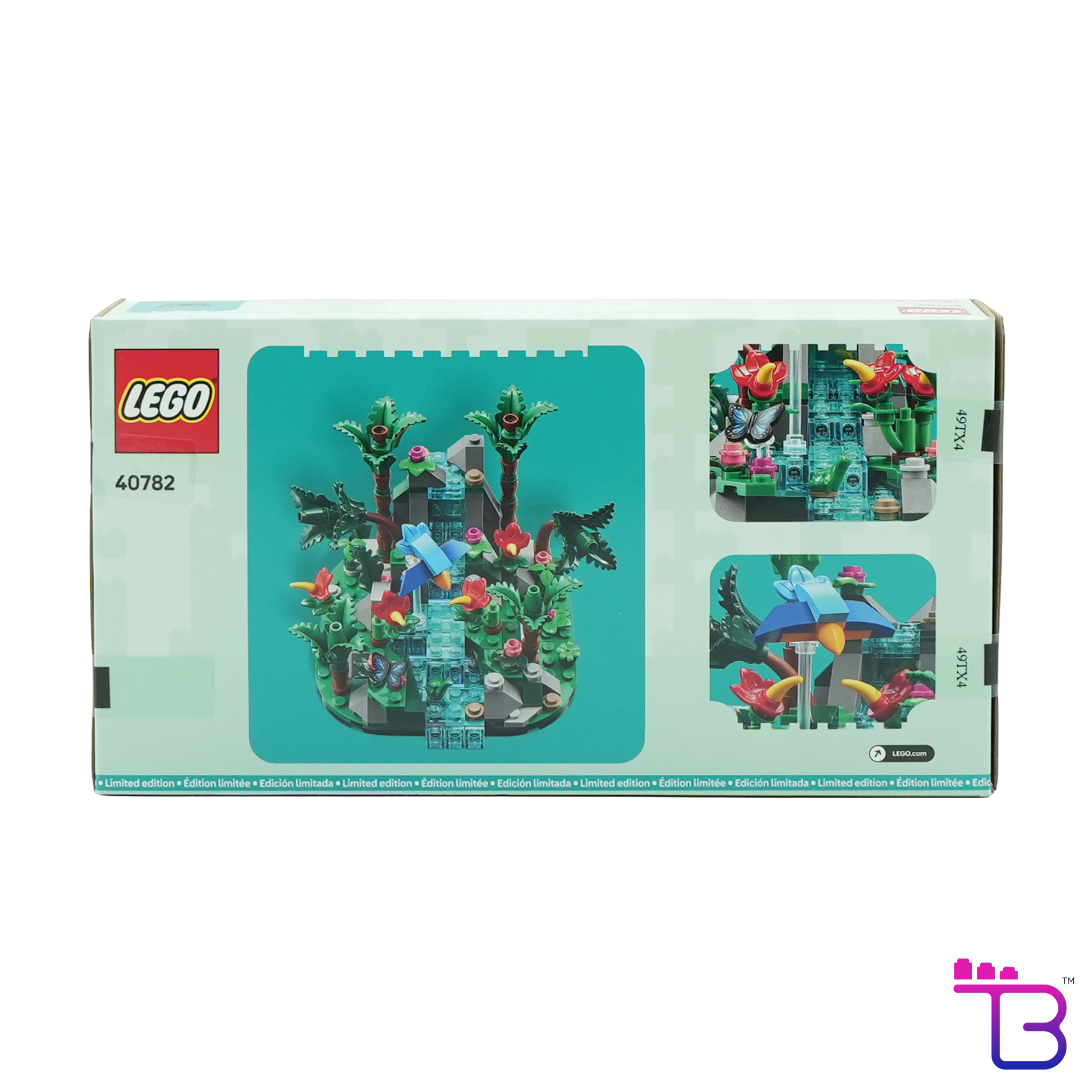 Tropical Rainforest Diorama #40782