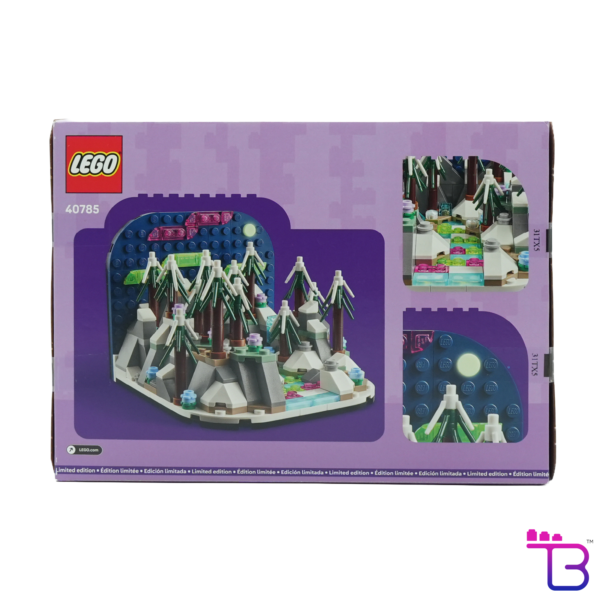 Northern Lights Diorama #40785