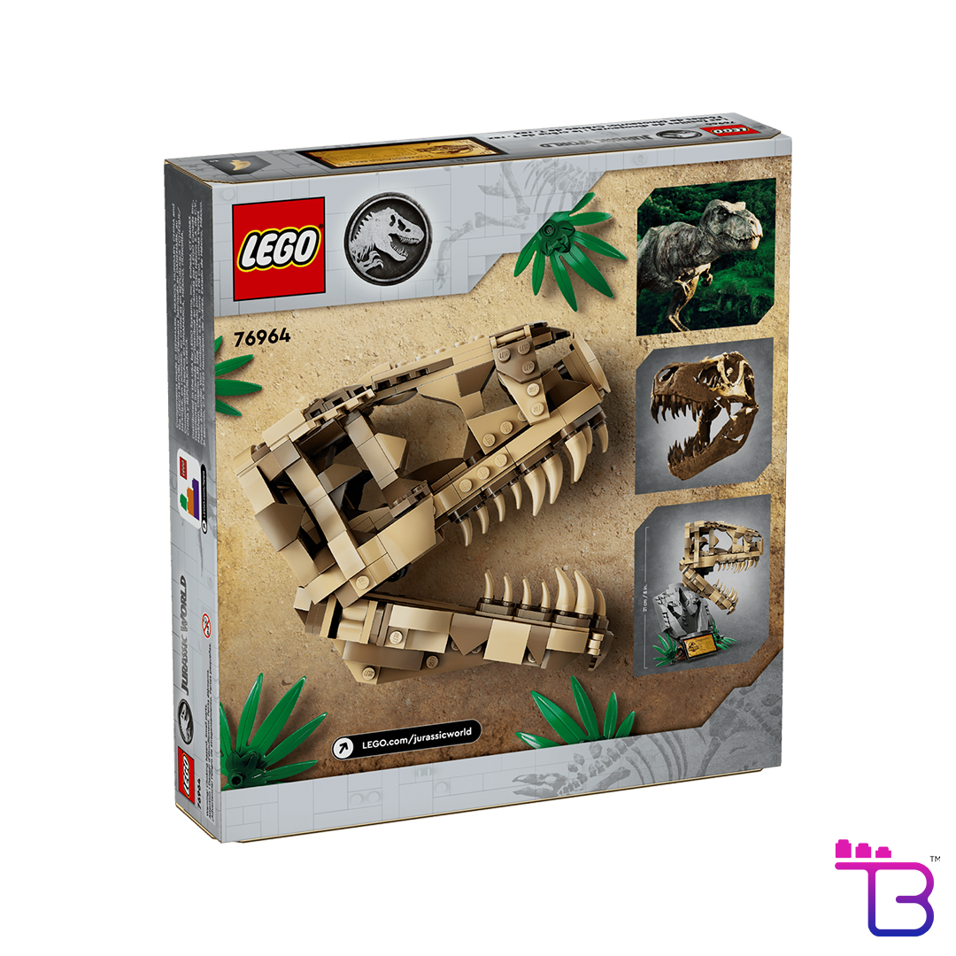 Dinosaur Fossils: T. rex Skull #76964