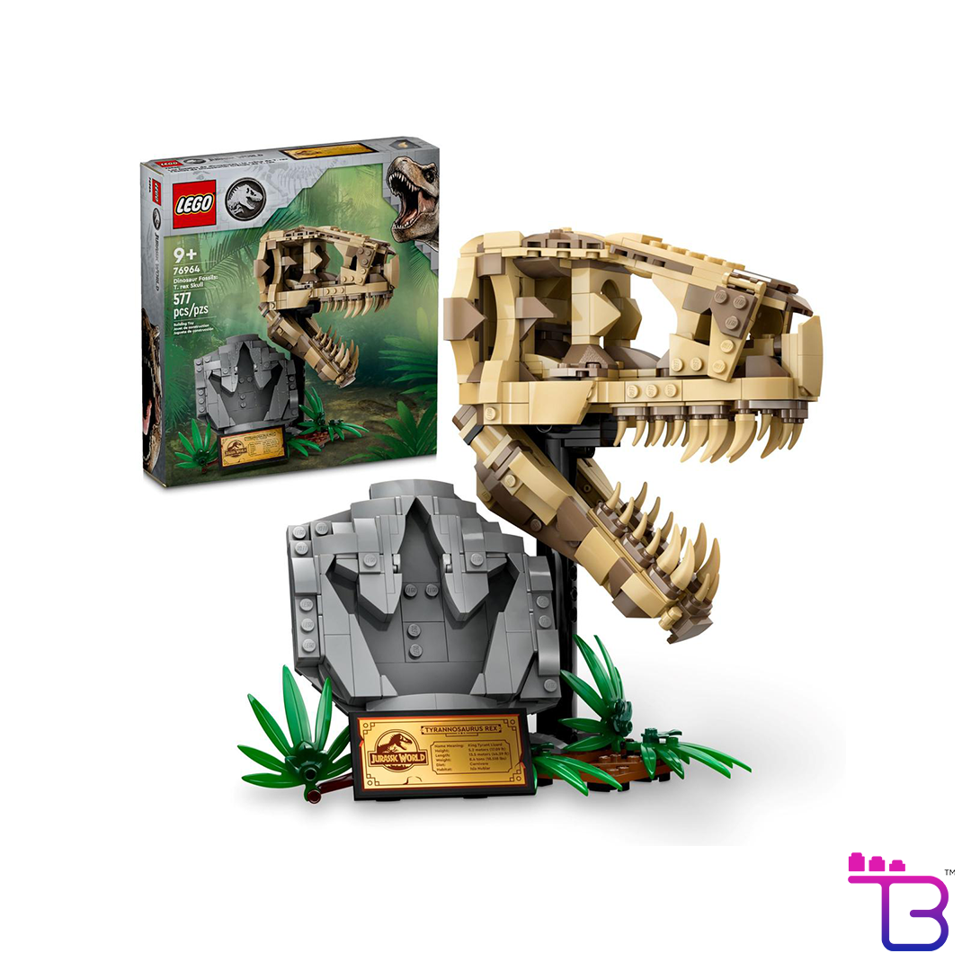 Dinosaur Fossils: T. rex Skull #76964