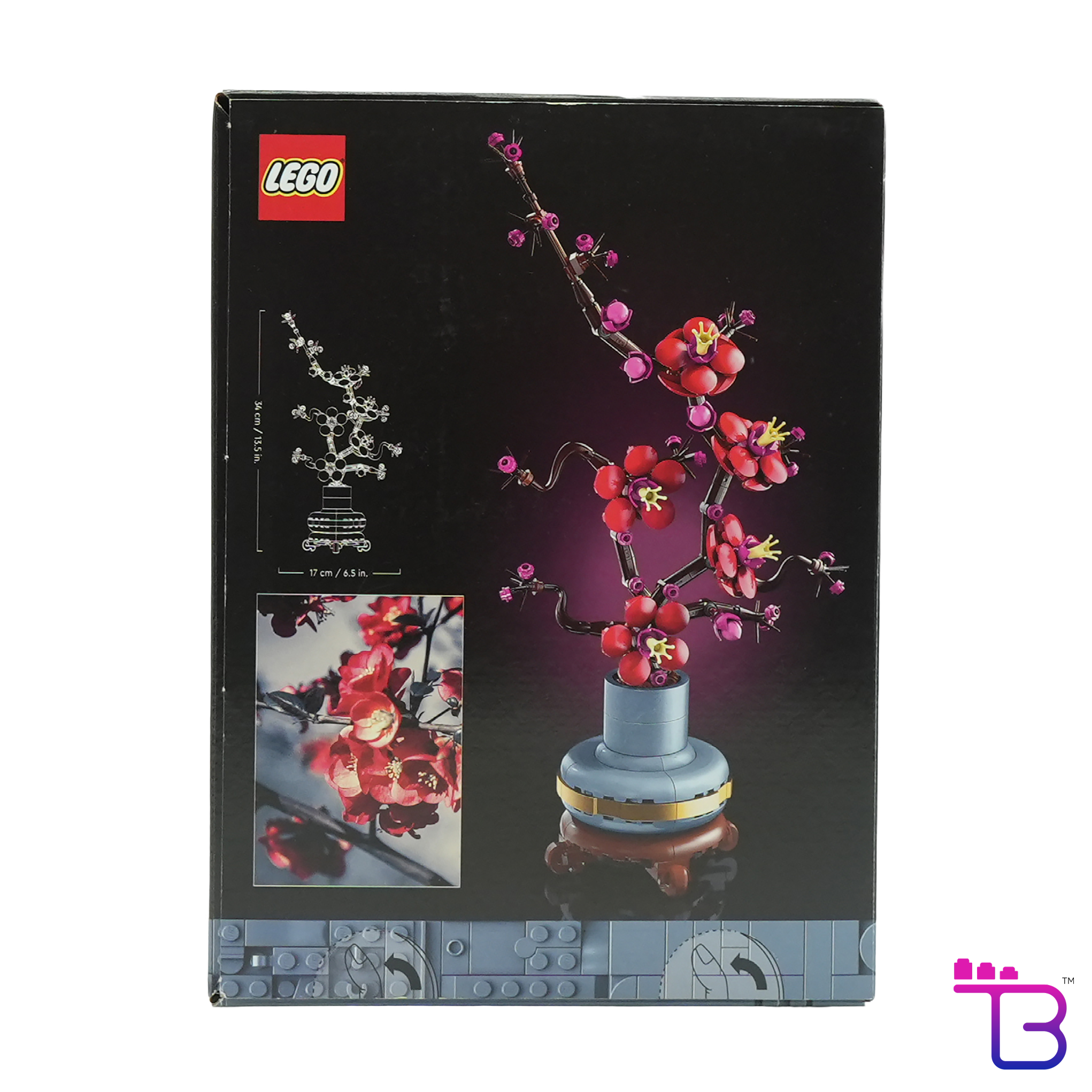 Plum Blossom #10369